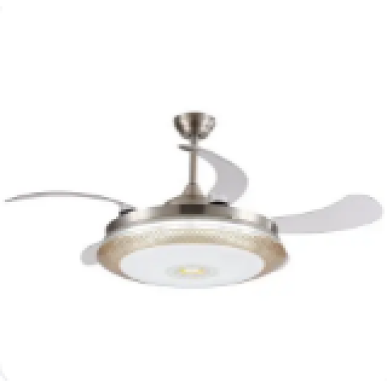 Fan Fan